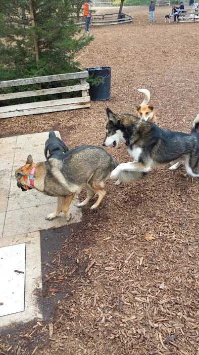 Airport Park Dog Park 4