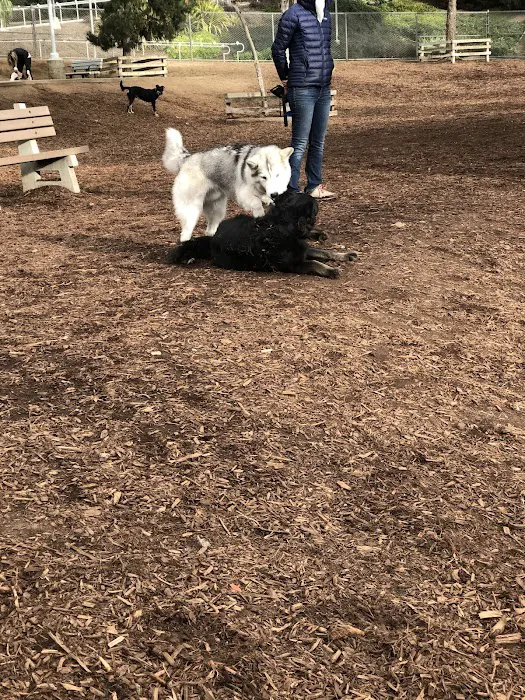 Airport Park Dog Park 3