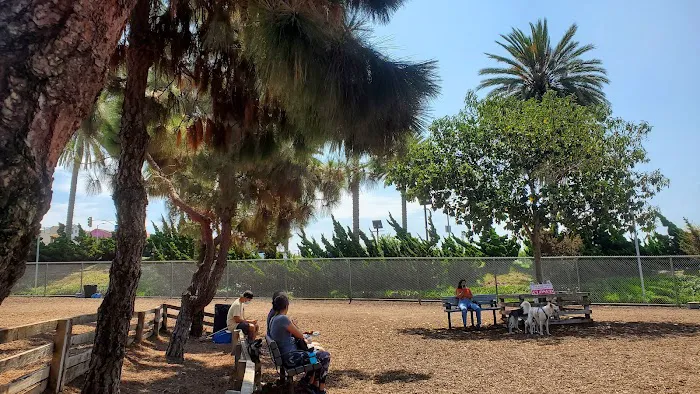 Airport Park Dog Park 7