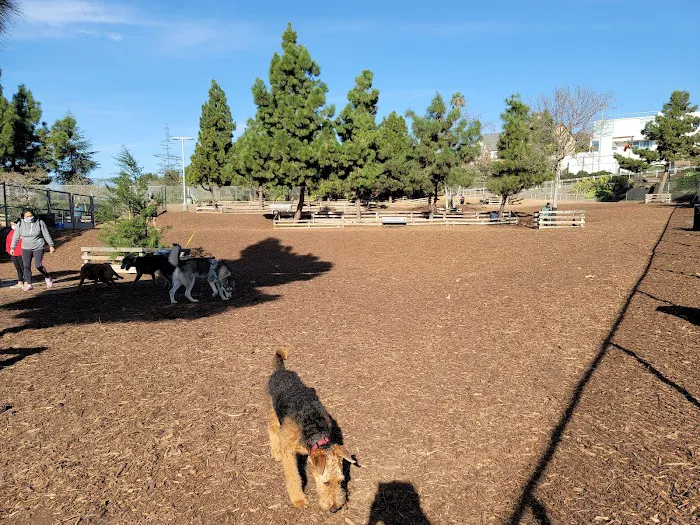 Airport Park Dog Park 10