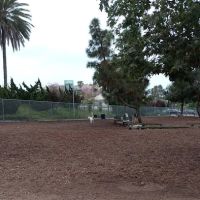 Airport Park Dog Park ico