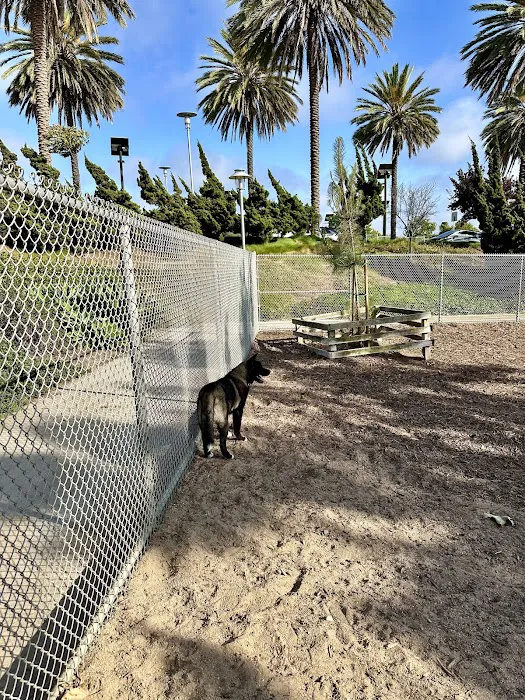 Airport Park Dog Park 6