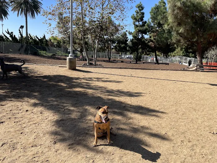 Airport Park Dog Park 9