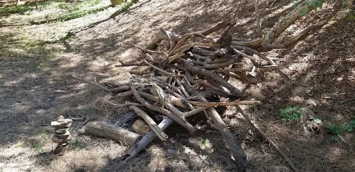 Good dog park 5