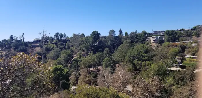 Good dog park 4