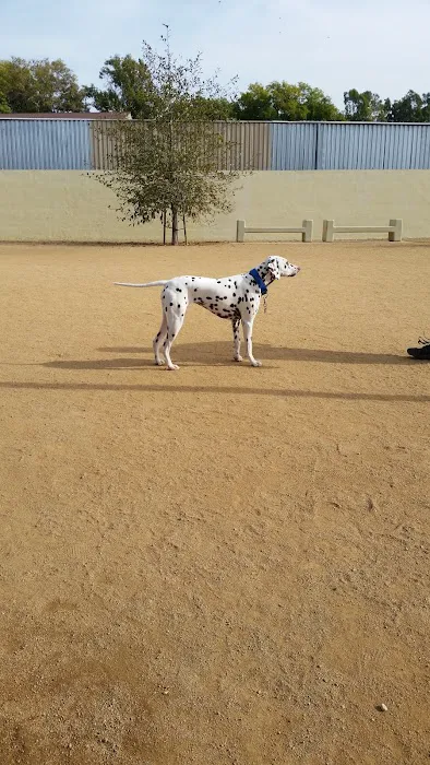 Whittier Dog Park 5