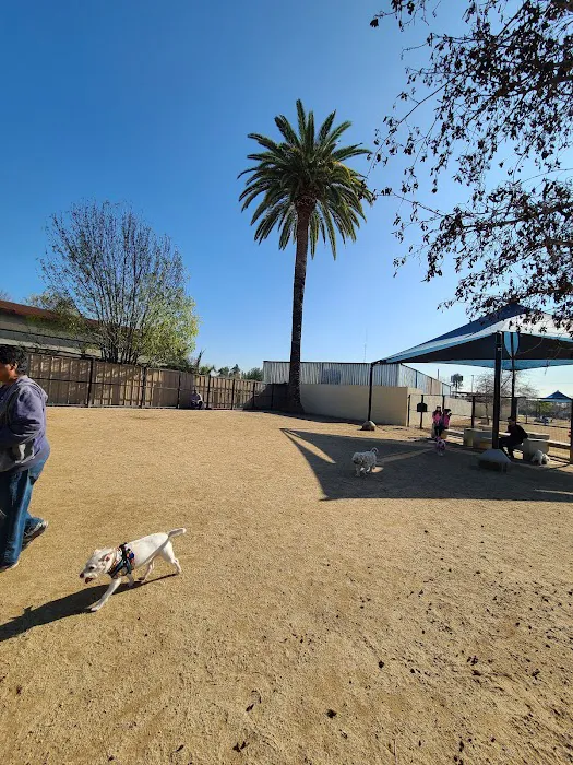 Whittier Dog Park 9