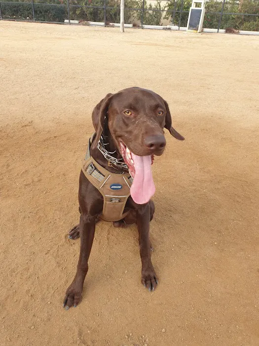 Whittier Dog Park 1