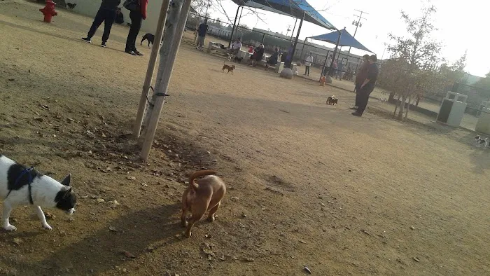 Whittier Dog Park 2