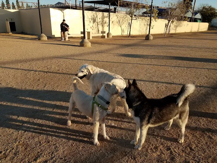 Whittier Dog Park 8