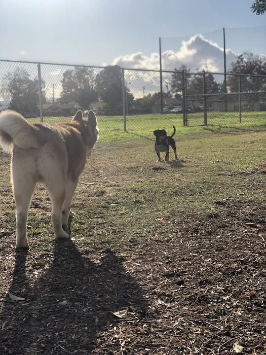 Central Bark Dog Park 2