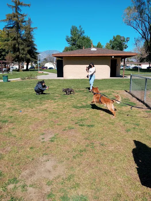 Central Bark Dog Park 4
