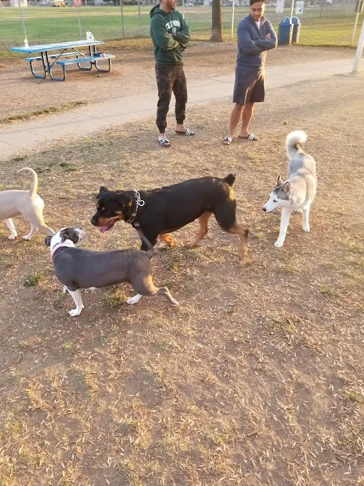 Central Bark Dog Park 8