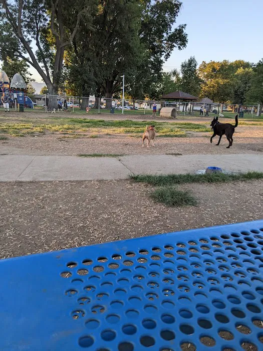 Central Bark Dog Park 1