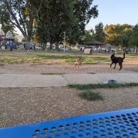 Central Bark Dog Park ico