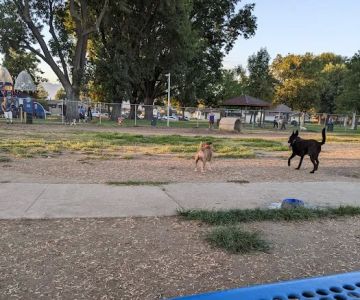 Central Bark Dog Park