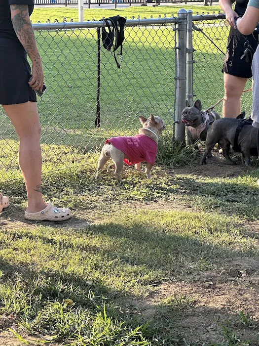 Frenchie Love Club 2
