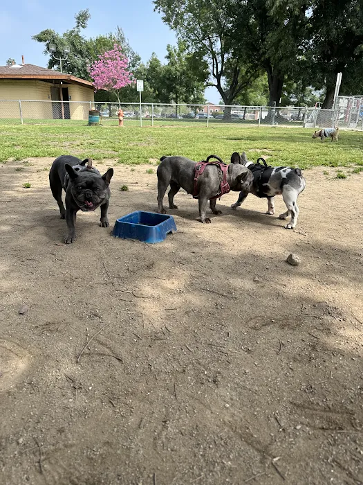 Frenchie Love Club 9