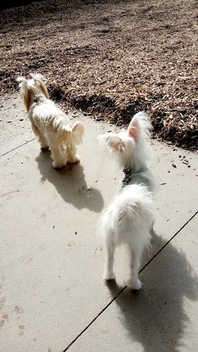 Longwood Dog Park 1