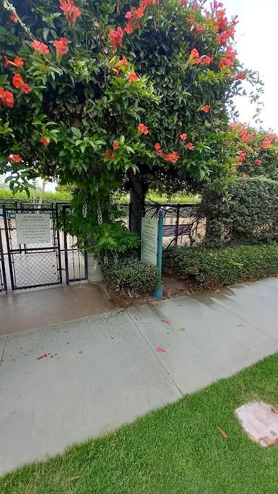 Longwood Dog Park 9