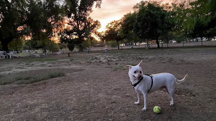 Sepulveda Basin Off-Leash Dog Park 8