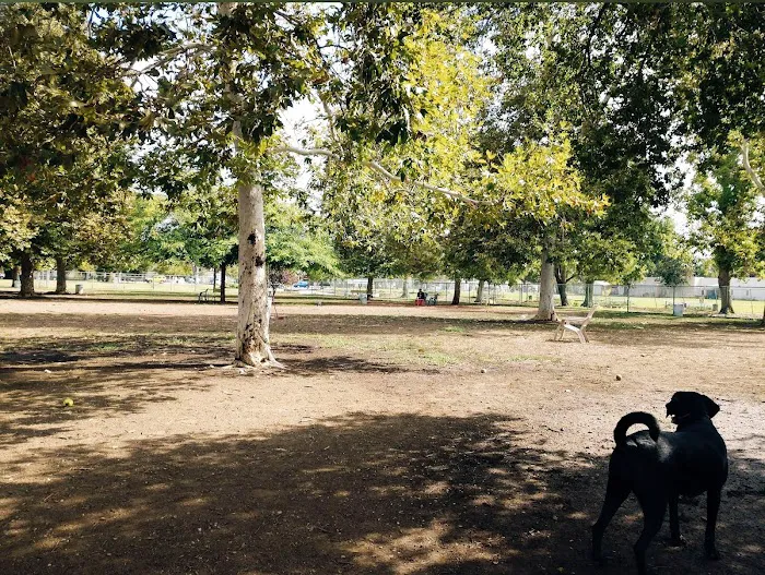 Sepulveda Basin Off-Leash Dog Park 5