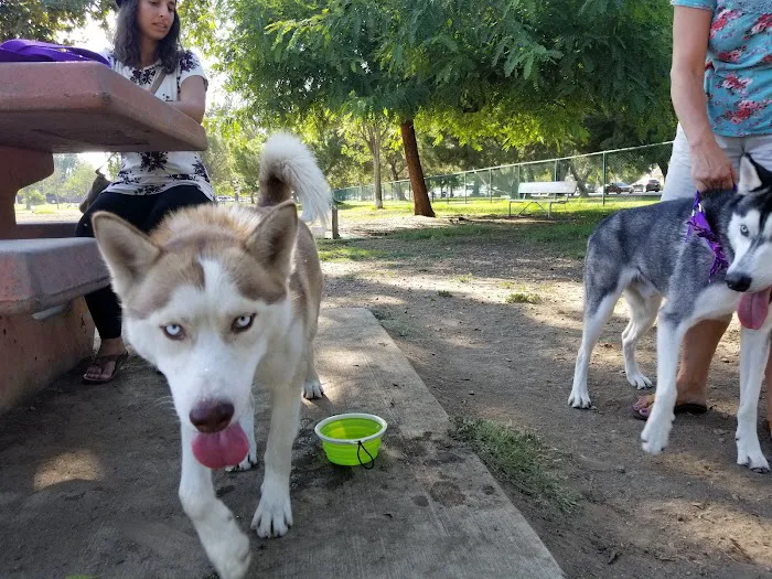 Sepulveda Basin Off-Leash Dog Park 10