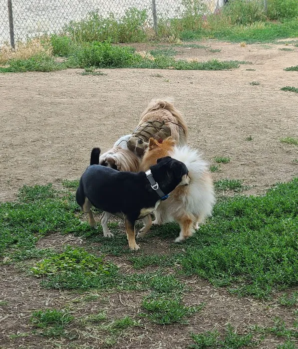 Sepulveda Basin Off-Leash Dog Park 7