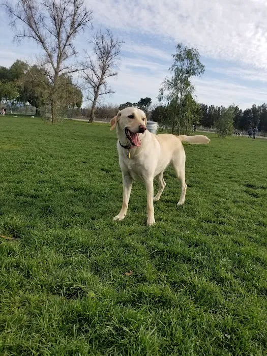 Sepulveda Basin Off-Leash Dog Park 4