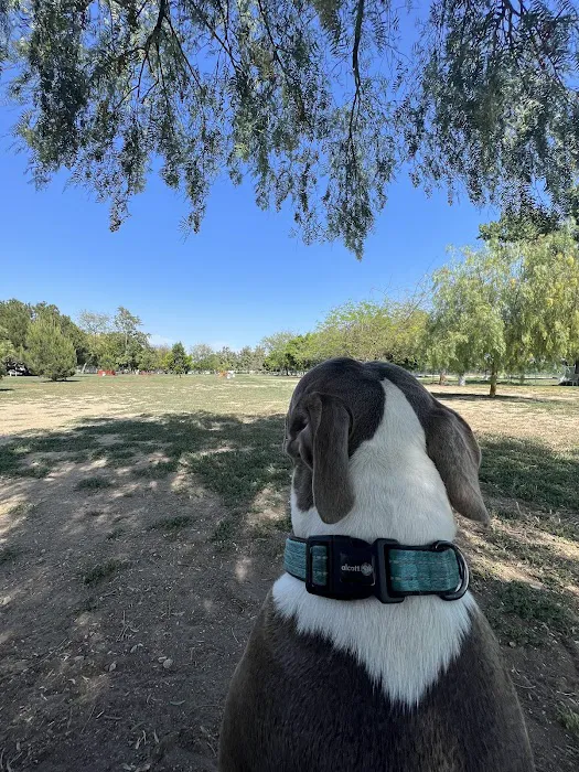 Sepulveda Basin Off-Leash Dog Park 6