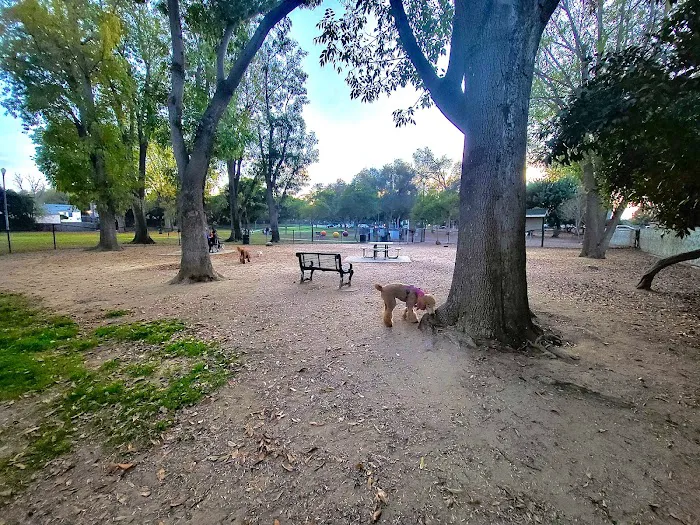 Uptown Dog Park 1