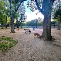 Uptown Dog Park ico