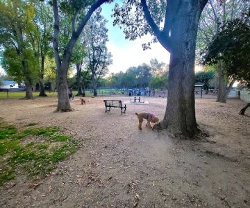 Uptown Dog Park