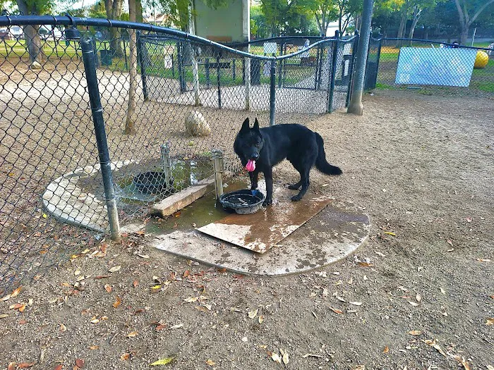 Uptown Dog Park 3