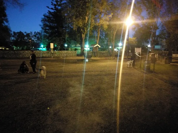 Uptown Dog Park 5
