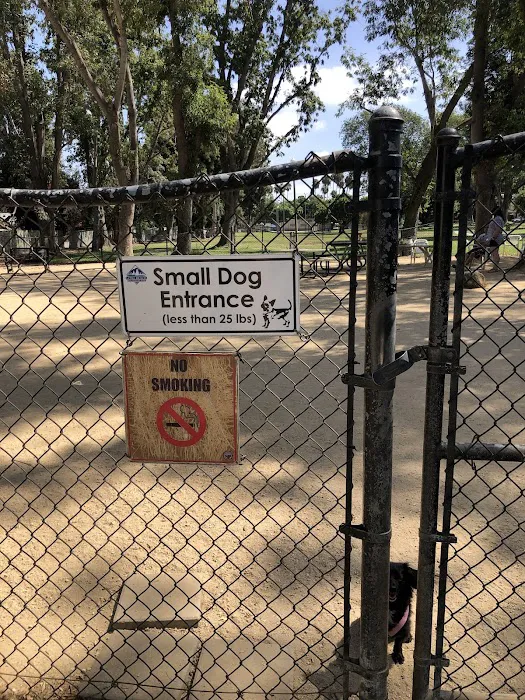 Uptown Dog Park 6