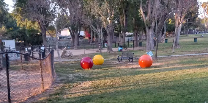 Uptown Dog Park 4
