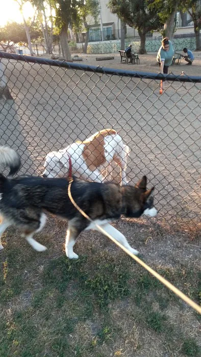 Uptown Dog Park 7