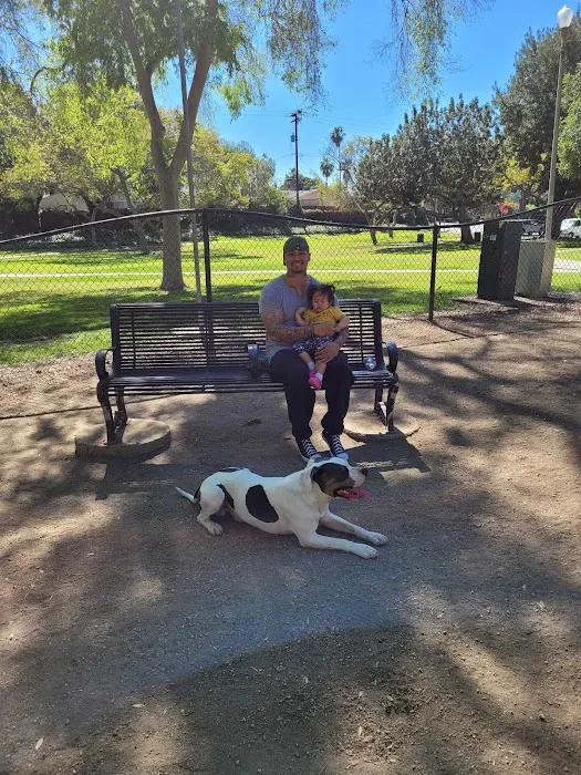 Uptown Dog Park 8