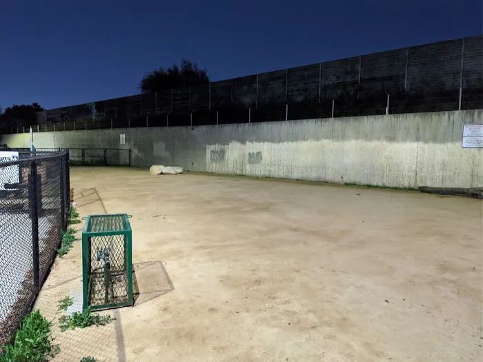 Jackson Street Dog Park 7