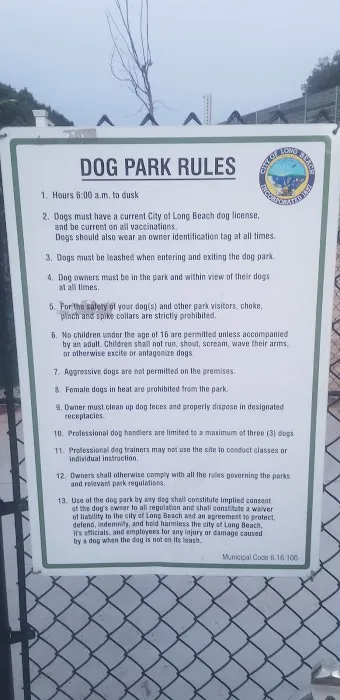 Jackson Street Dog Park 1