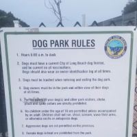 Jackson Street Dog Park ico