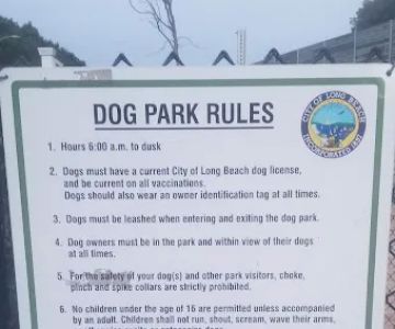 Jackson Street Dog Park