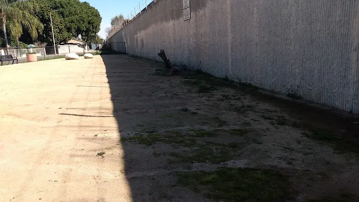 Jackson Street Dog Park 10