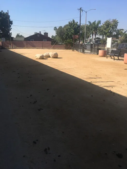 Jackson Street Dog Park 2