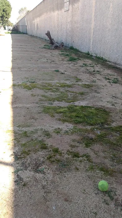 Jackson Street Dog Park 6