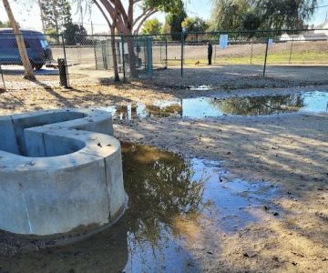 Flora Vista Dog Park