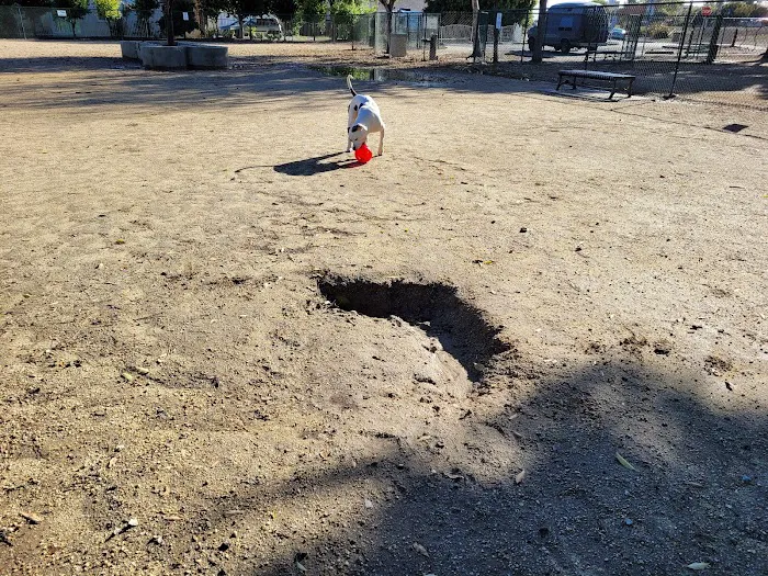 Flora Vista Dog Park 2