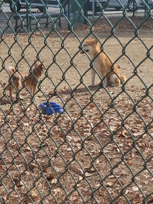 Flora Vista Dog Park 10