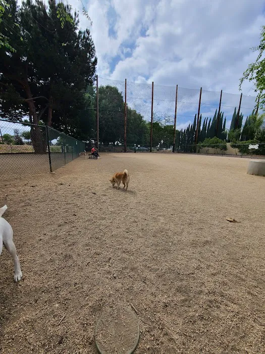 Flora Vista Dog Park 3